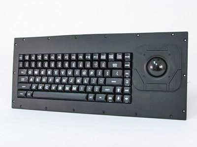 Cortron Model 80 Keyboard T20D  Non-Backlit Panel Mount Enclosure Cable accessory, Custom legends, Black Keys.